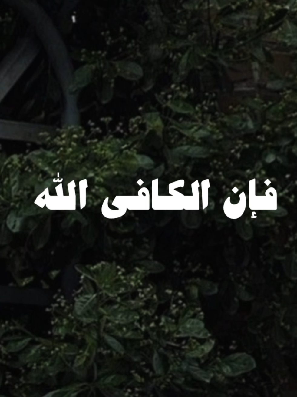 إن الهم منفرجٌ..❤️✨ #الشيخ_كشك #فارس_المنابر #الشيخ_كشك_رحمه_الله #ابشر #ابشر_بالخير 