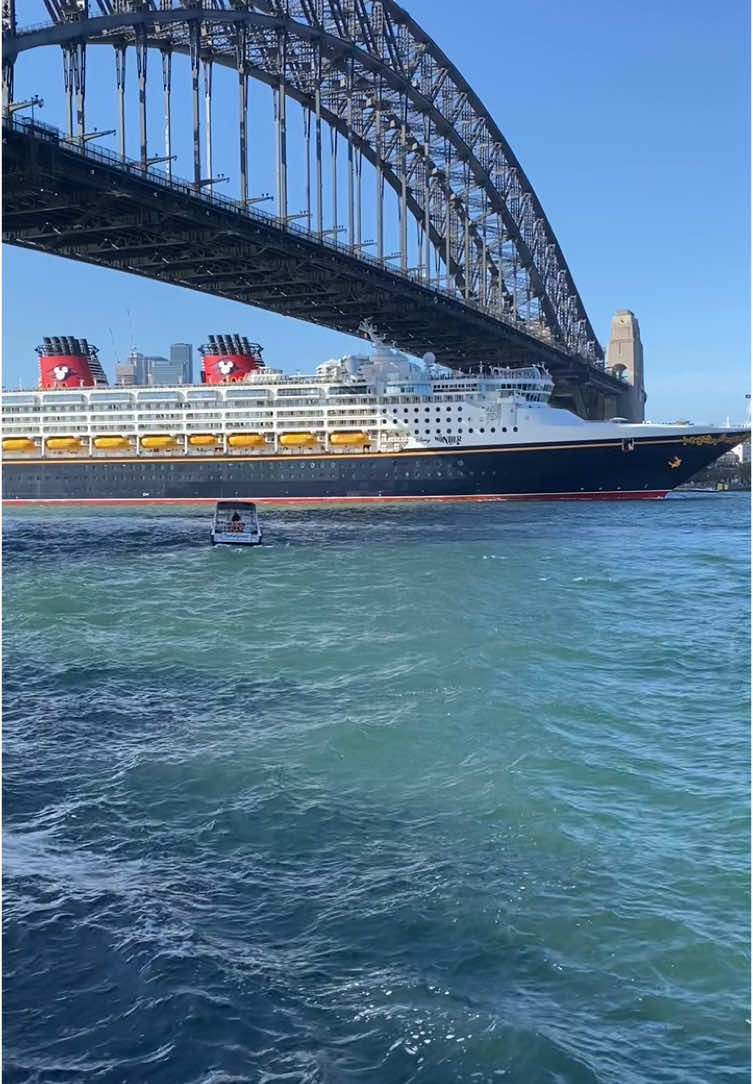 Just the magical sight of the stunning Disney Wonder accompanied by her iconic horn under the Sydney Harbour Bridge ❤️💛 #cruisingisthelife #travel #fyp #viral #traveltok #cruiseship #cruise #cruiselife #cruisetok #cruiseshiplife #sydney #australia #sydneyharbour #newyearscruise #departure #disney #disneycruise #disneywonder #beauty #cruising @Disney 