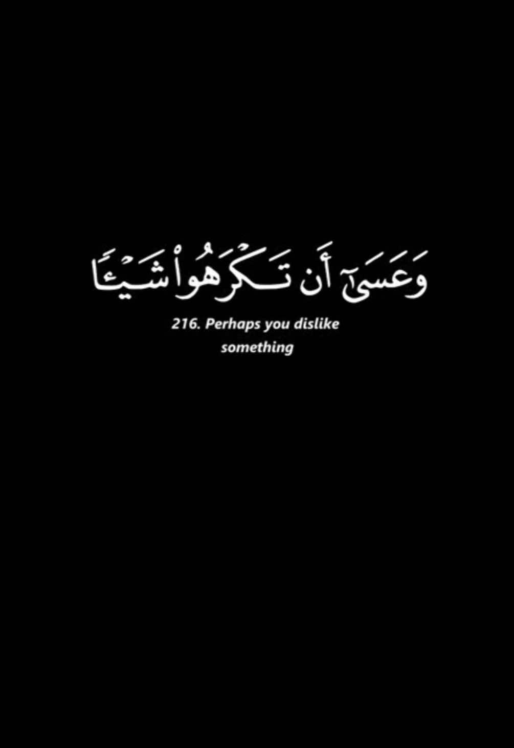 #الله #القران #الله_اكبر #لا_اله_الا_الله #اللهم_صل_وسلم_على_نبينا_محمد #تلاوة #ماهرالمعيقلي #سورة_البقرة 