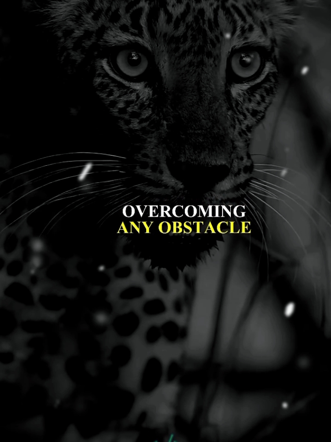 the difficult circumstances you go through #positivevibes #positivevibes #wisdom #quotes #life 