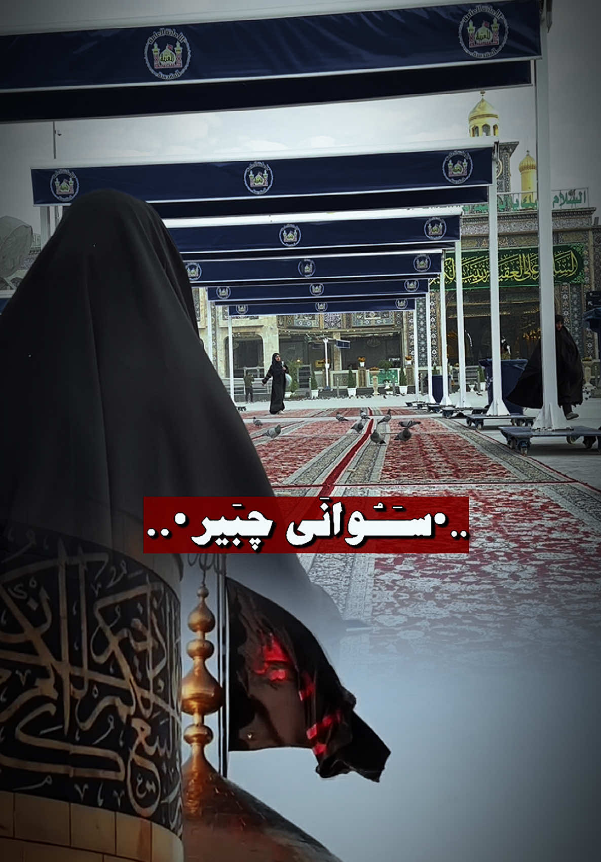 #CapCut  #2024 #ادركنا_ياصاحب_العصر_والزمان #باب_الحوائج_موسى_بن_جعفر #كربلاء_مدينة_العشق_والعاشقين #الكاظم #يازهراء_اغيثينا #دخيلج_ياام_البنين #دخيلك_ياعلي 