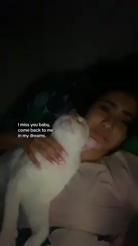 I’ve still have not come to terms with you not being here, I miss our mornings I miss when I’d wake up and see you next to me I miss your meows while I’d make you food I miss you in general baby. I remember how my world just stopped even before they say that you were gone, I knew your heart was at peace. Come back to me please. #greifandloss #4youpage #catowner #fyp #cattiktok #catloss🕊 #imissyousomuch #goodbye #ilove #foryou #4u #har #fypage #foru #ru #babytiktok #4youpage 