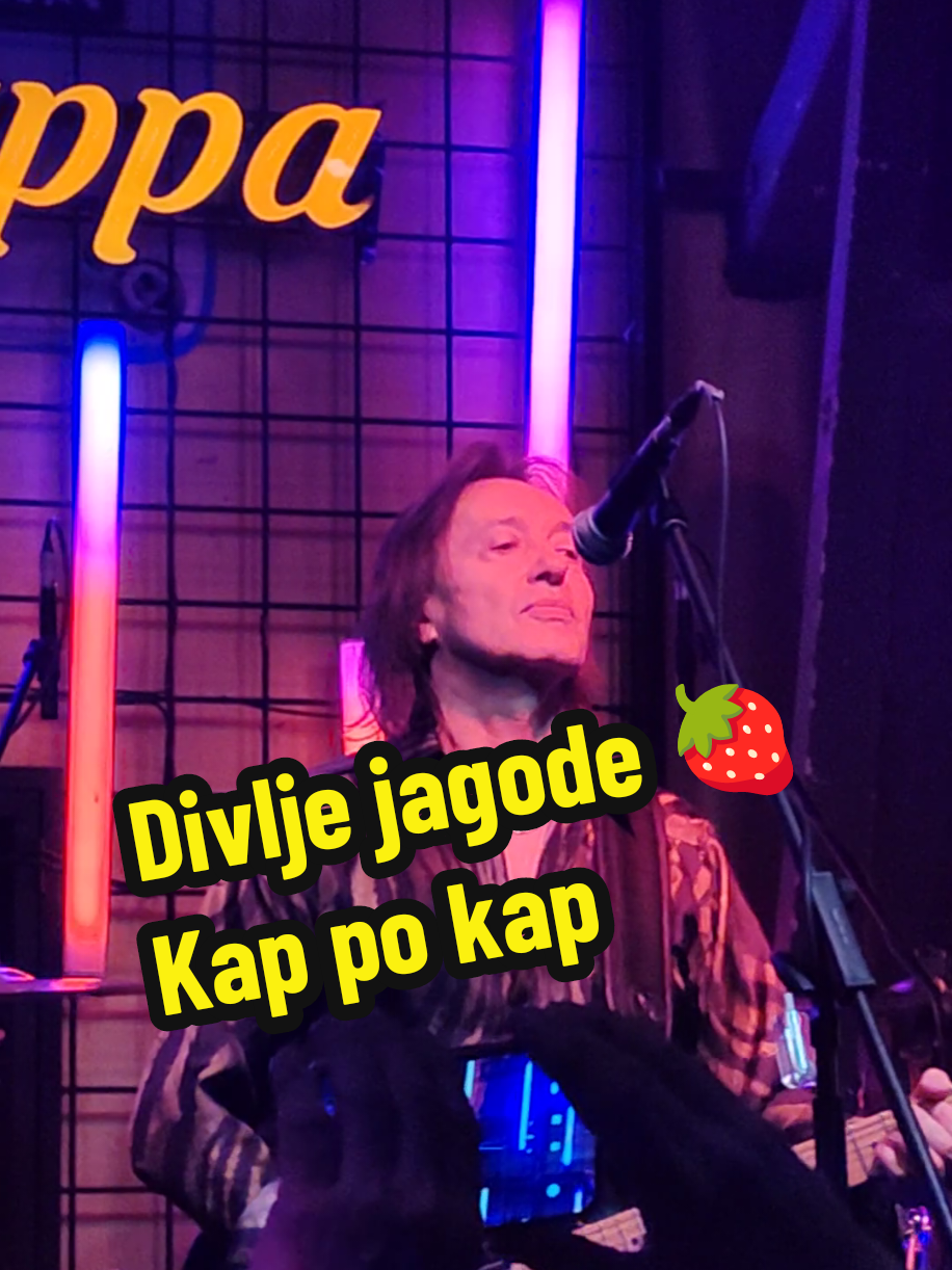 Kap po kap 🍓 #divljejagode #viral #koncert #rocknroll #exyumuzika #exyurock #svirka #fyp 