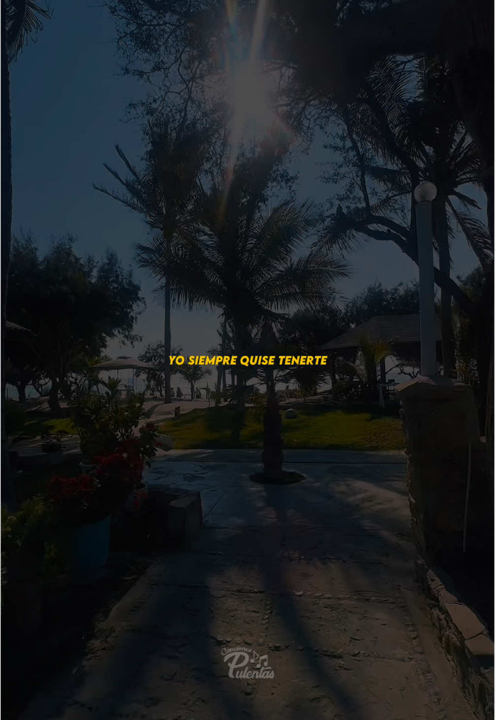 Yo siempre quise tenerte…  #ylloreyllore #caribeñosdeguadalupe #piuraperu #piura #cumbiaperuana #peruana #peru🇵🇪 #lyric #musica 