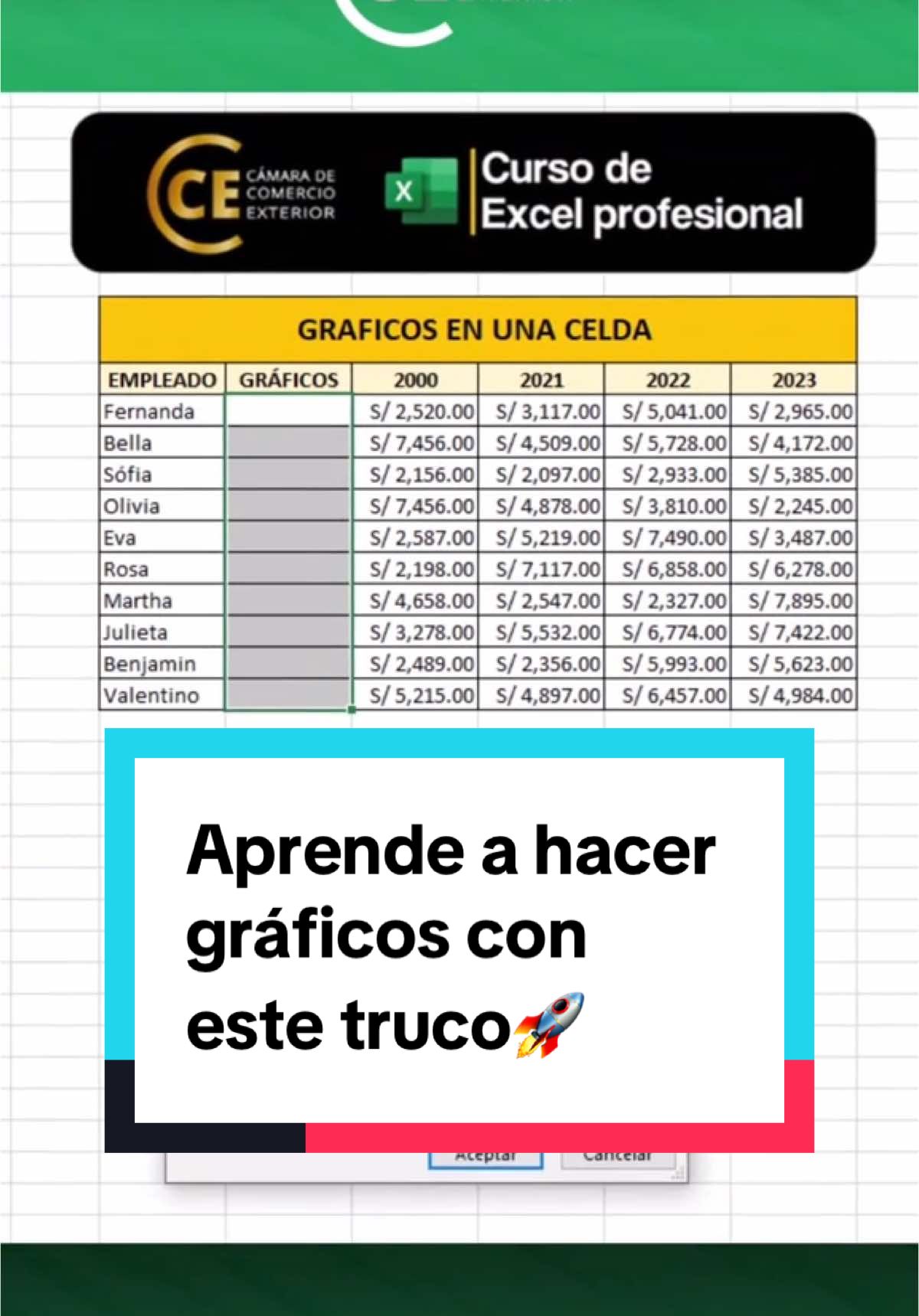 Aprende a colocar gráficos en una celda en menos de 5 segundos ⚡⚡ #excel #tutorial #graficos #hacksexcel #cursoexcel #fyp #camaracomercioexterior