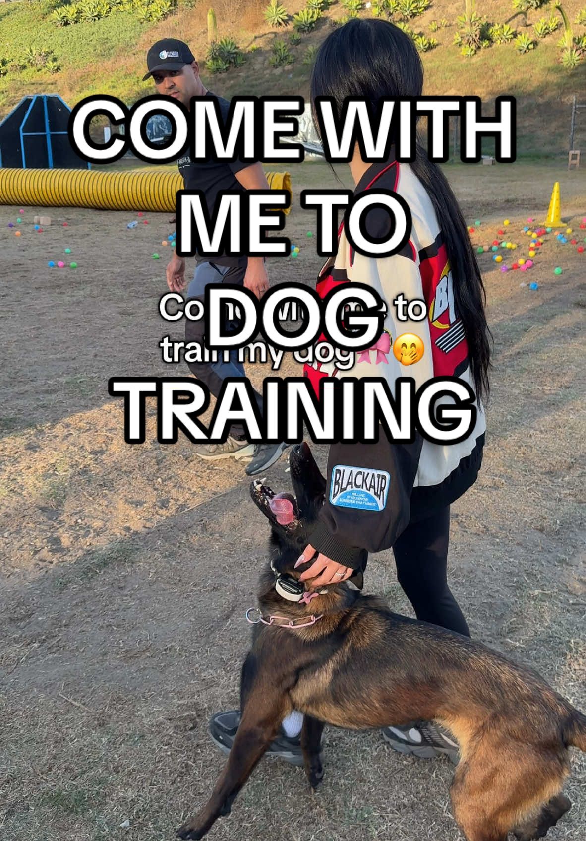 Come with me to dog training🤭🫡 #DogTraining #belgianmalinois #scarydogprivilege 