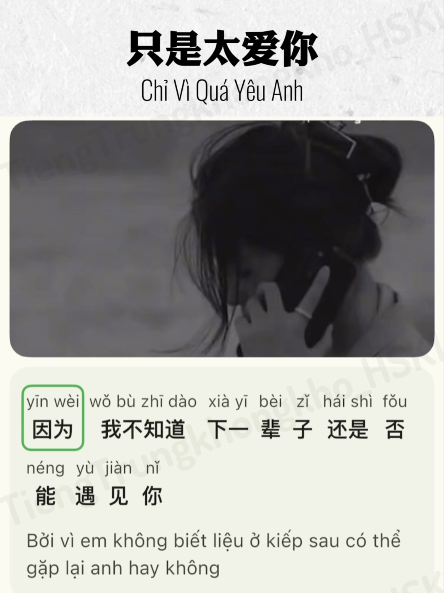 只是太爱你 | Chỉ Vì Quá Yêu Anh #只是太爱你 #chiviquayeuem #chiviquayeuanh #hoctiengtrungquabaihat #hoctiengtrung