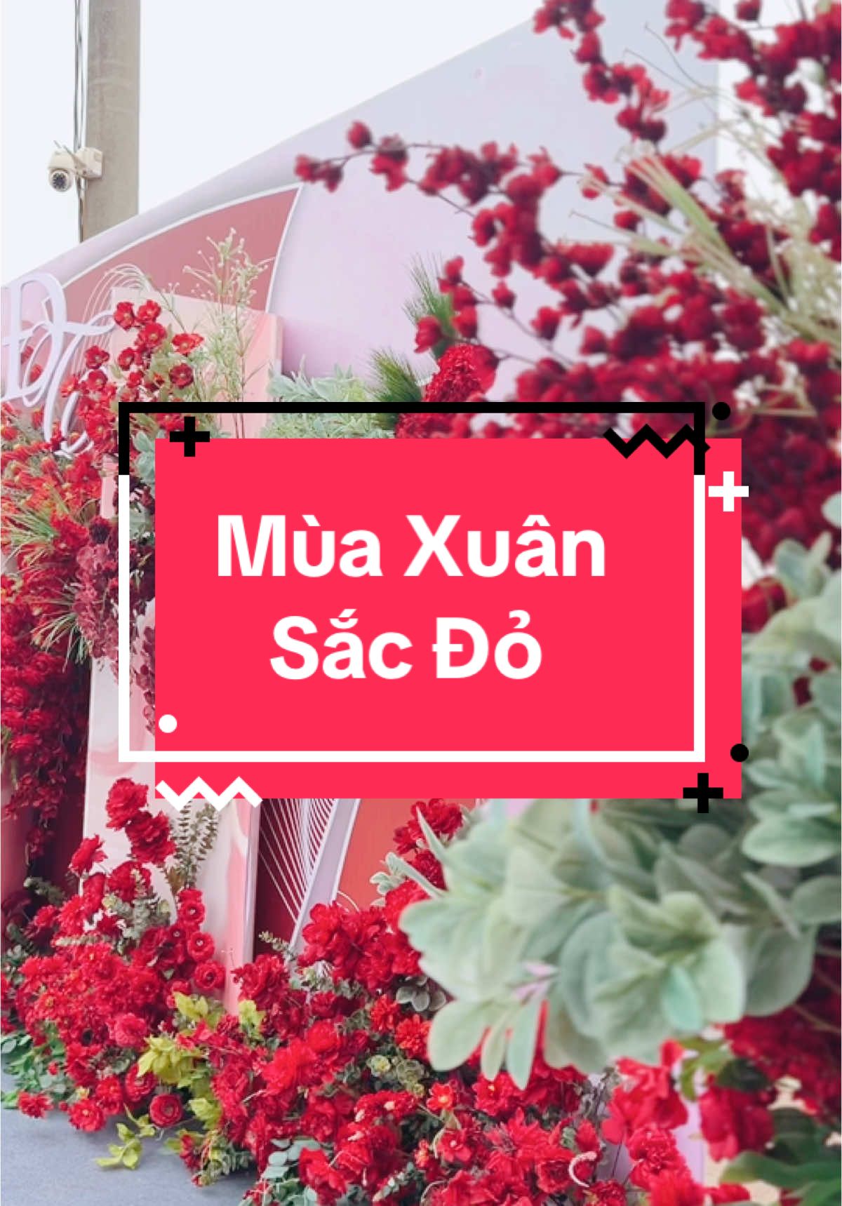 Bàn giao tiệc cưới tông màu đỏ tại Hải Phòng #rạp_cưới_đẹp #đám_cưới_màu_đỏ 