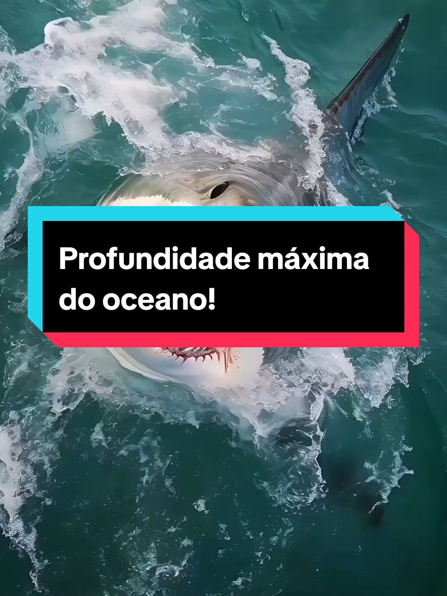 Profundidade máxima do oceano!! #profundidade #oceano #mar #natureza #curiosidades #fatoscuriosos 