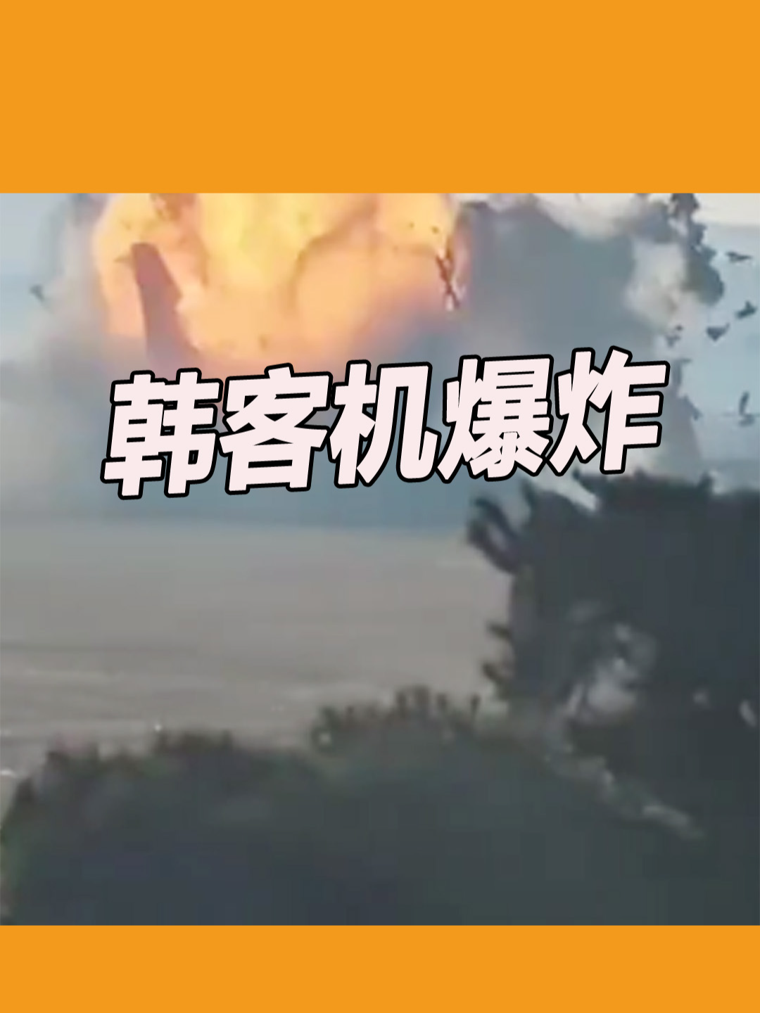 韩客机爆炸 现场画面 #jejuair #korea #planecrash