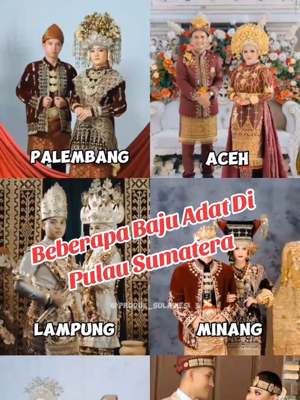 Beberapa baju adat di pulau sumatera #fyp #foryou #foryoupage #aceh #batak #bataktiktok #minang #minangtiktok #palembang #riau #melayu #lampung #lampungtiktok #lampungpride #sumatera 