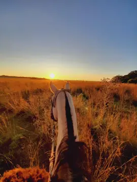 #chamamecorrentino #chamame #campoargentino🇦🇷♥️ #campoargentino🌱🌾🌻🐮🐂 #campoargentino #campo #fypp #fyp #paratiiiiiiiiiiiiiiiiiiiiiiiiiiiiiii #virał #gaucho #gauchos #gauchoinfluencer #paisa #paisano #paisanos #gauchosnotiktok #camporuraloficial🇦🇷 #losprincipesdemisiones #corrientes #corrientesargentina #corrientescapital #corrientescapital🇦🇷❣ 