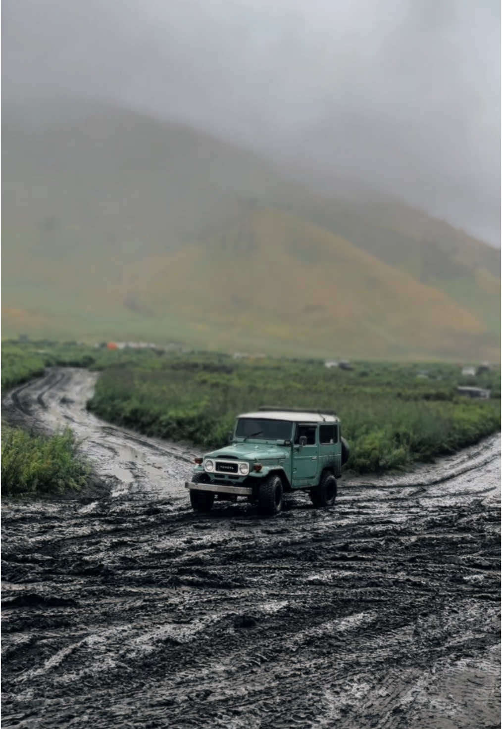 Si kuning mencuri perhatian 🚜🤩 #bromo #gunungbromo #bromotenggersemeru #xyzbca #fyp 