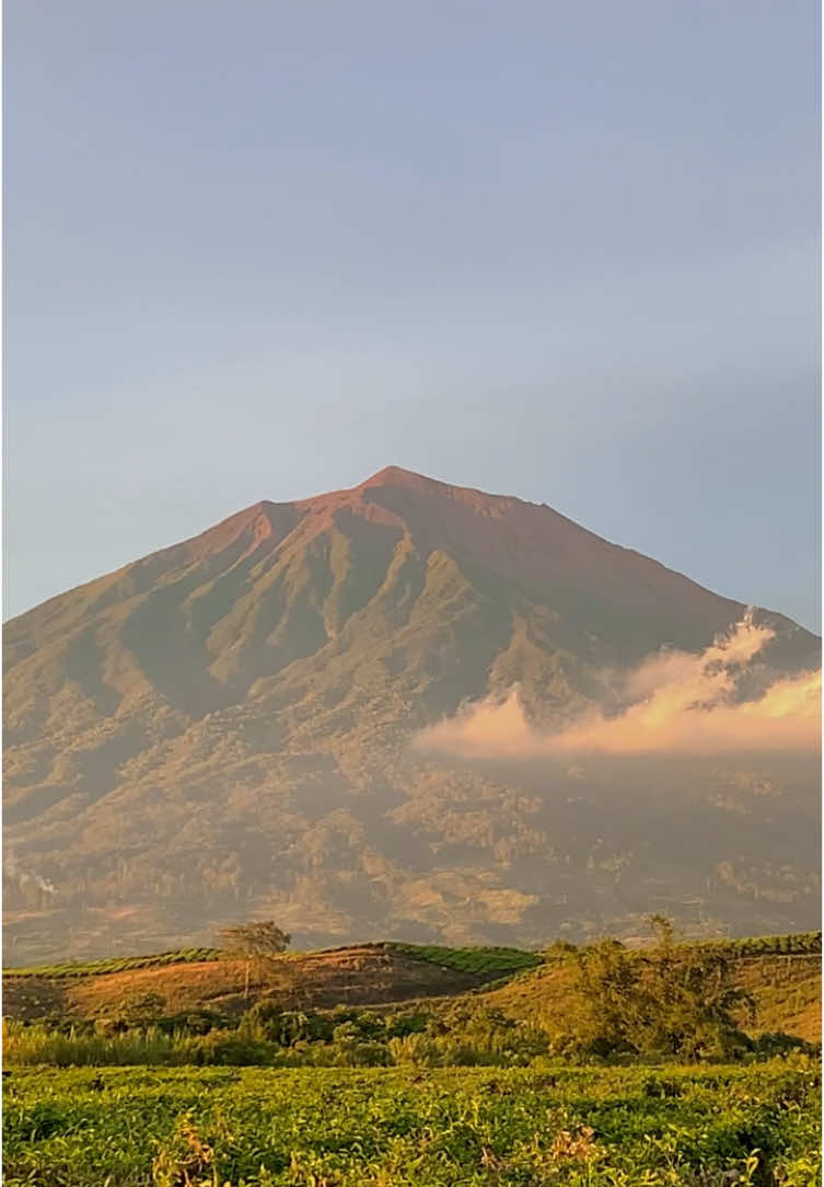 kerinci lagi cantik cantiknya✨ #kerinci #gunungkerinci 