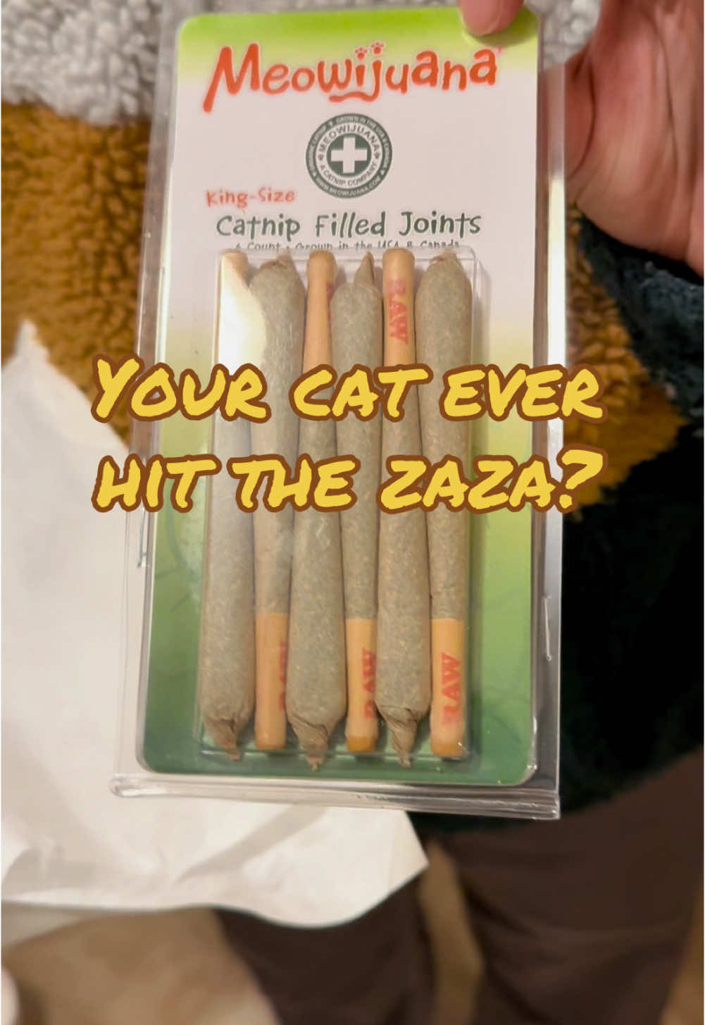 Replying to @☭ Trace 🇵🇸🔻 Let your cat dabble in a doobie!👌🍃🤣 #catnip #meowijuana #catmom #catdad #catlife