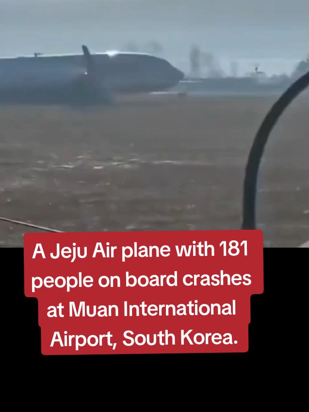 A #JejuAir #plane with 181 people on board crashes at Muan International Airport, #SouthKorea #planedisaster #planelanding #planecrash #southkoreaplanecrash #MUANPLANECRASH 