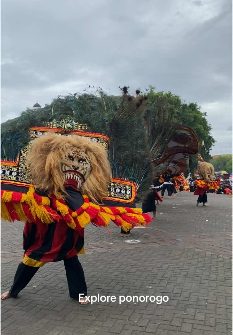 102 dadak merak turut serta memeriahkan bumi reog berdzikir 2024 hari ini #exploreponorogo #bumireogberdzikir #pshtpusatmadiun #brb #ponorogo #pshtponorogo 