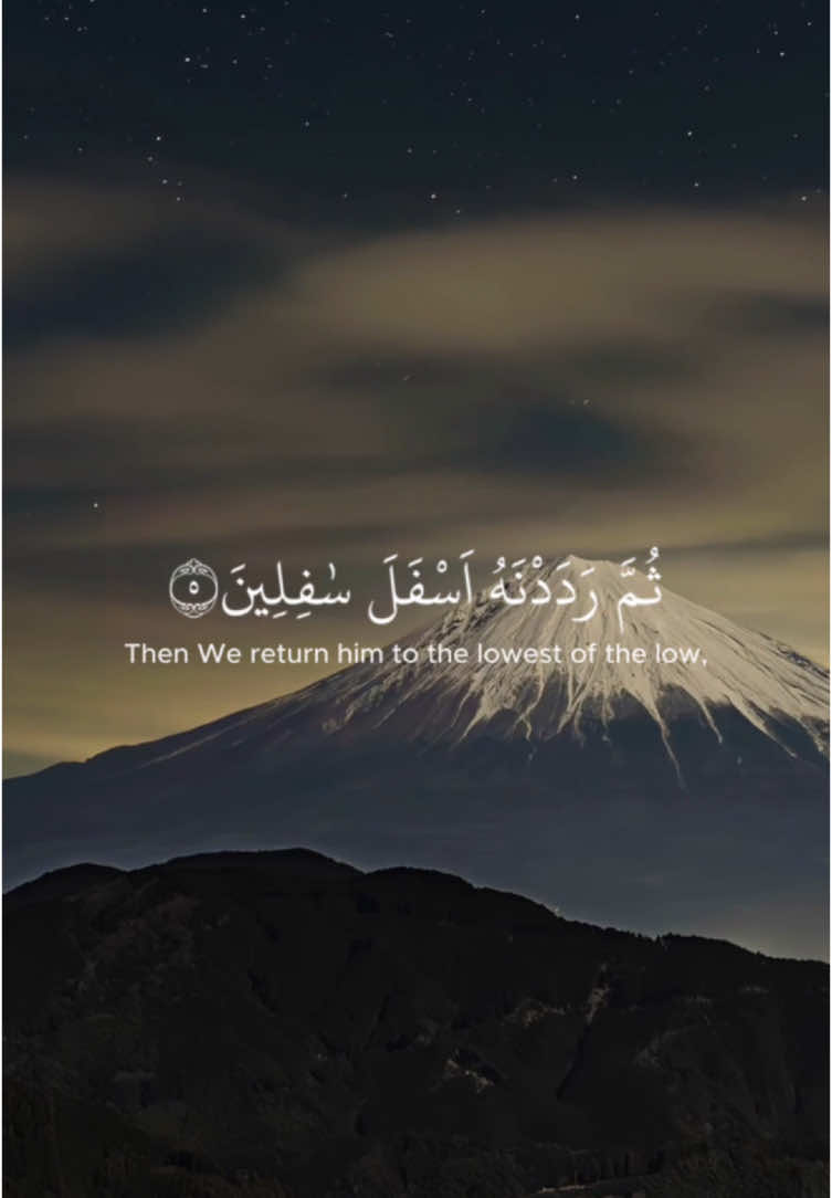 Surah At-Tin Reciter: Ibn Bashiir  #fyp #islam #fypシ #quran #tin #recitation #foryoupage #translation #reminder #muslim #muslimtiktok #share 