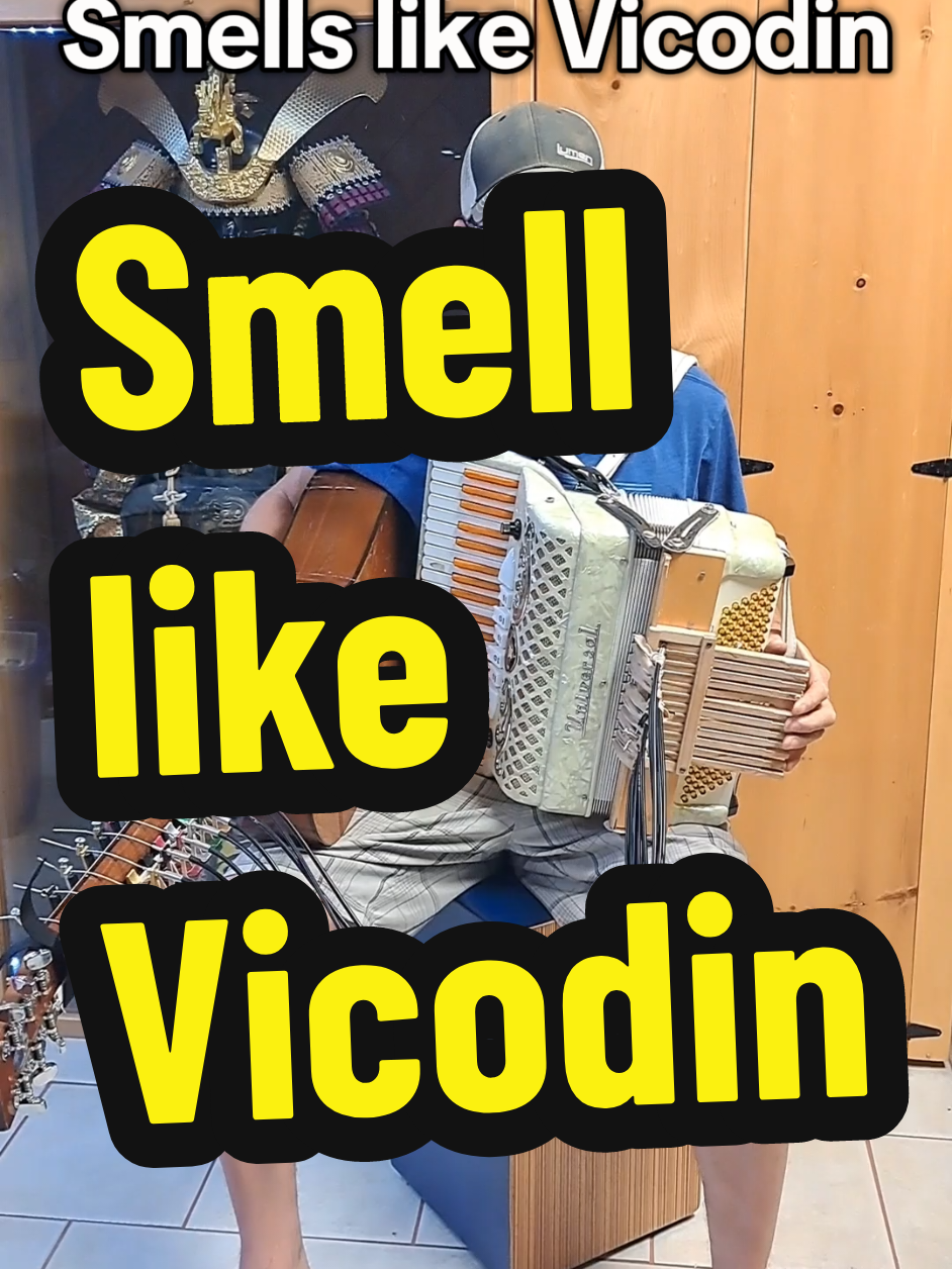 Smells like vicodin #smellsliketeenspirit  #nirvana #drhouse #housemd #funny #folk #kristnovoselic  #kurtcobain  #accordion #talent