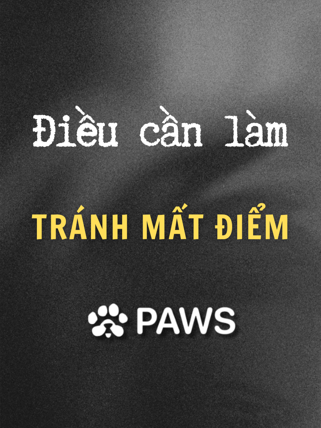 Mất hết điểm PAWS trước khi airdrop nếu không làm Nhiệm vụ này #paws #airdrop #noel #dgpub