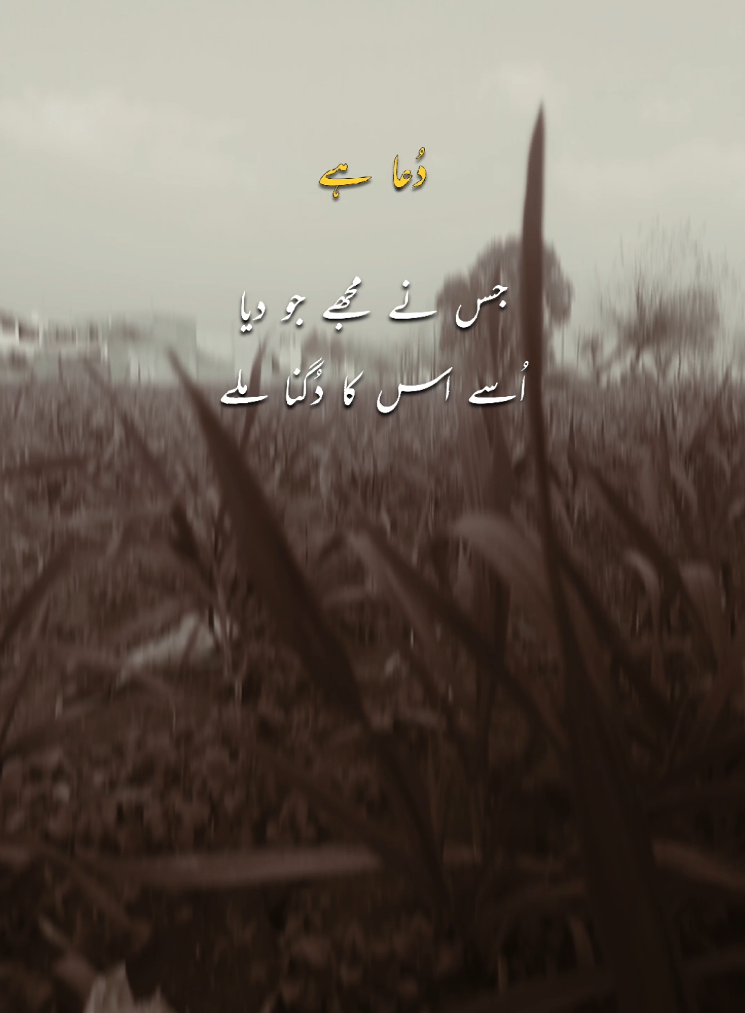 آمین 😐۔ ۔ #azlanwrites_ #forupage #foryoupage✔ #foruyou #aesthetics #poetry #viral_video #statusvideo #fyp #fyyyyyyyyyyyyyyyy #fortnite #aestheticvideos 