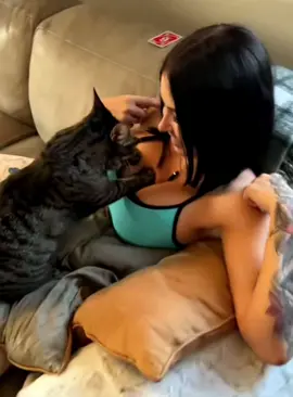 Why do cats make biscuits?#catsoftiktok #funnycats #foryou #fyp 