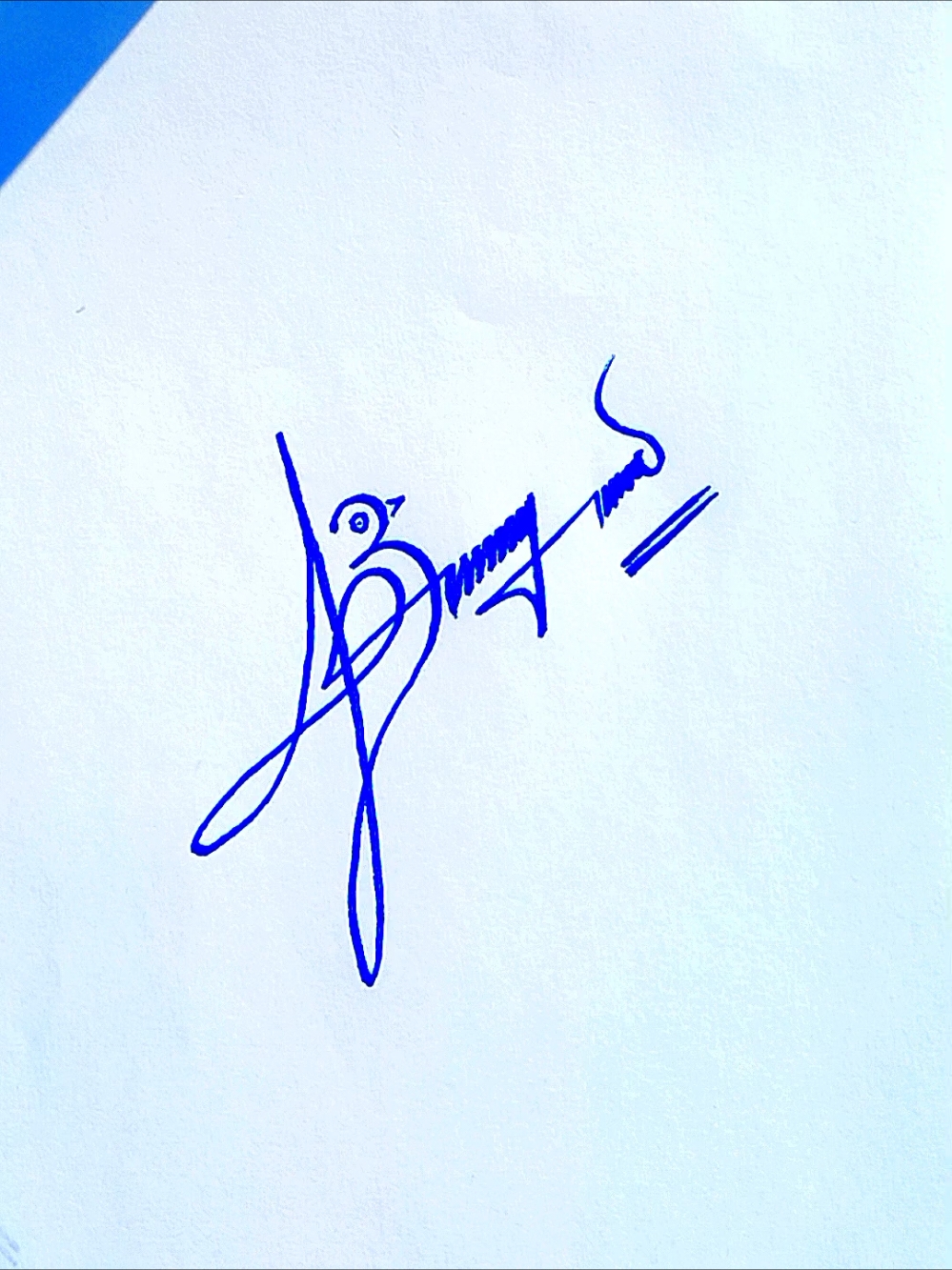 Replying to @abdul_basit__8  Signature style of my name B | B signature style #signature #signaturestyle #signaturesideas #signaturedesigner #b 