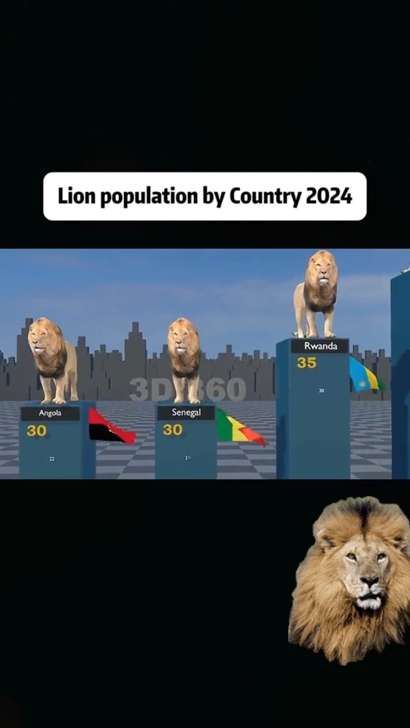 Lion Population by Country 2024 🦁 