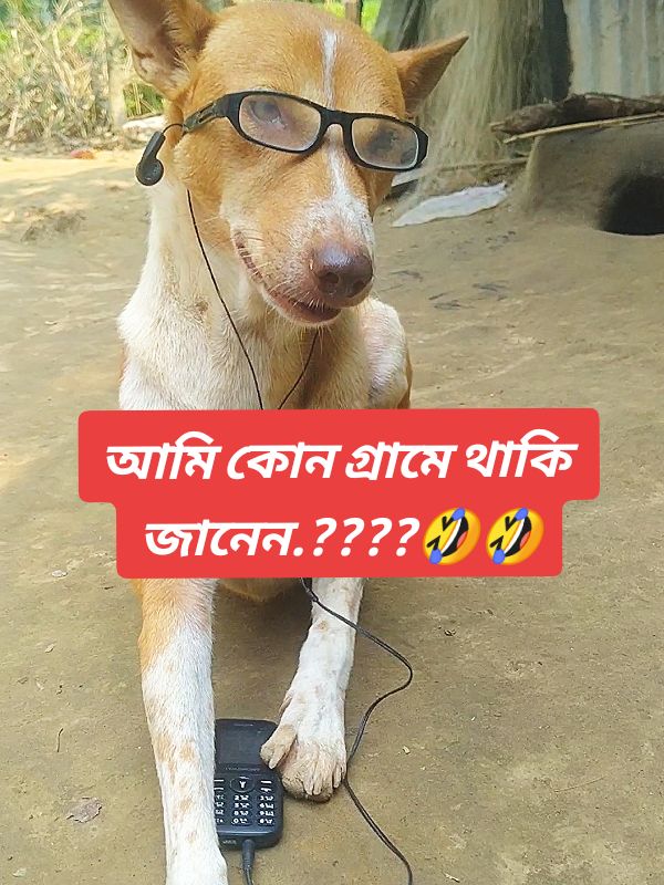 #আমি কোন গ্রামে থাকি জানেন #🤔 #🤣🤣🤣 #❤️❤️ #foryou #foryoupage #fyp #fypシ #fypシ゚viral #tiktok #viral #trending #funnyvideo #viralvideo #vairal_video @For You @TikTok Bangladesh @Voicer_Amdadul_10🥺 