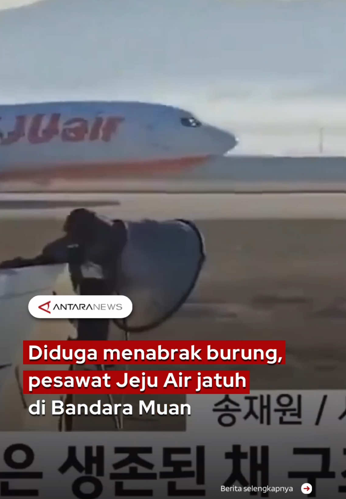 Diduga menabrak burung, pesawat Jeju Air jatuh di Bandara Muan  #pesawatjatuh #jejuair #korsel #koreaselatan #bangkok #bandaramuan #menabrakburung #gagalmendarat #tiktokberita #fyp #longervideos 