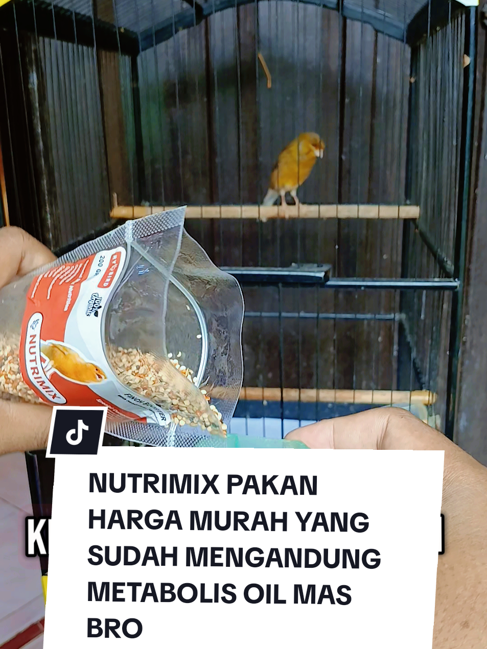 PAKAN NUTRIMIX HARGA MURAH CUMAN 6RIBUAN SAJA SUDAH MENGANDUNG OIL METABOLIS BAGUS BUAT KENARI #nutrimix  #kenarimaniaindonesia⚡  #kicaumania  #kenariprospek 