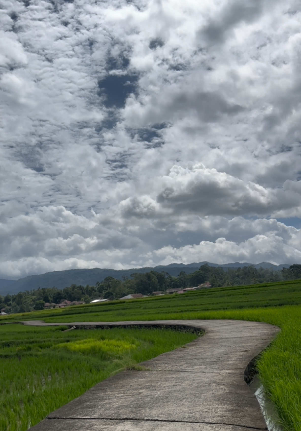 Iko nan mambuek taragak pulang kampuang #takanakampuang #kampuangtacinto #kampuangsiako #batipuh #tanahdatar #rangminang #pulangkampung #minanglasuah #fyp #fypminang #storyminang #storyrantau #laguminang 