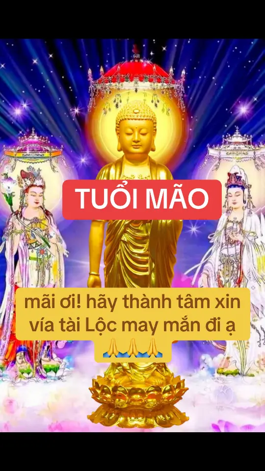 mãi ơi! hãy thành tâm xin vía tài Lộc may mắn đi ạ🙏🙏🙏#phatphapnhiemmau #phatphap #12congiap #tamlinhhuyenbi 