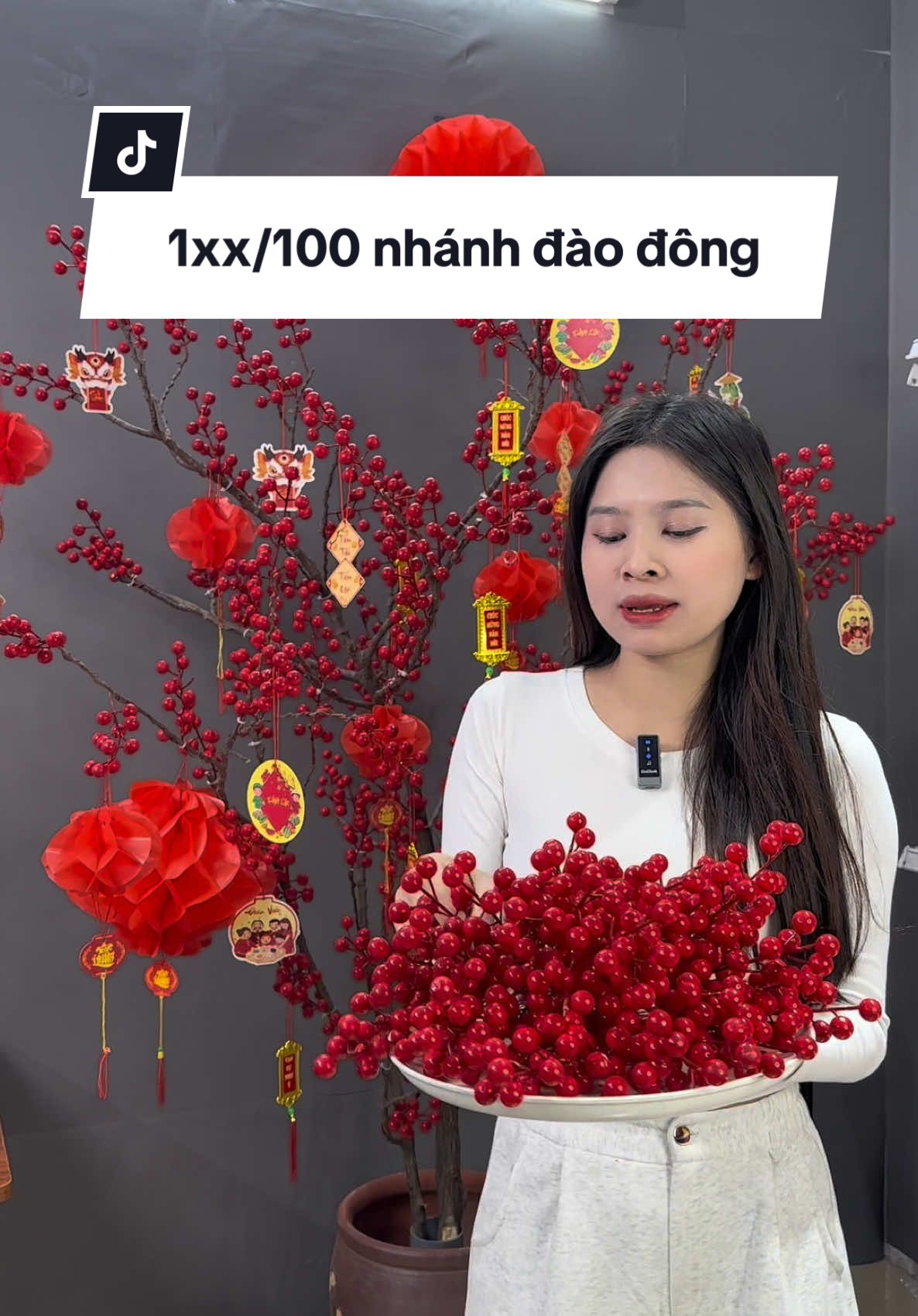 1xx/100 nhánh đào đông #daodongdo #daodongtet #tet2025 