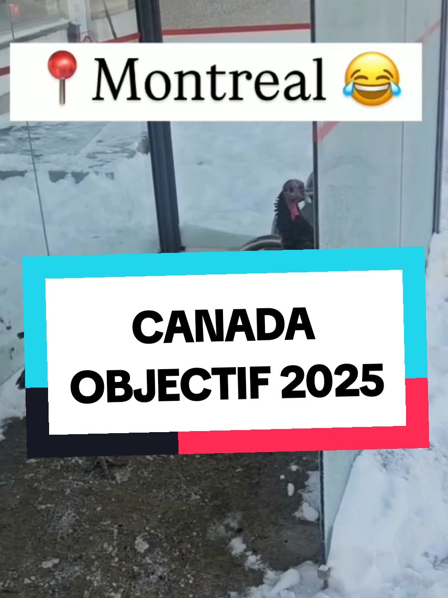 Canada objectif 2025. C'est votre nouveau programme  #entreeexpress #canada #priseencharge #travail #recrutement #residencepermenante 