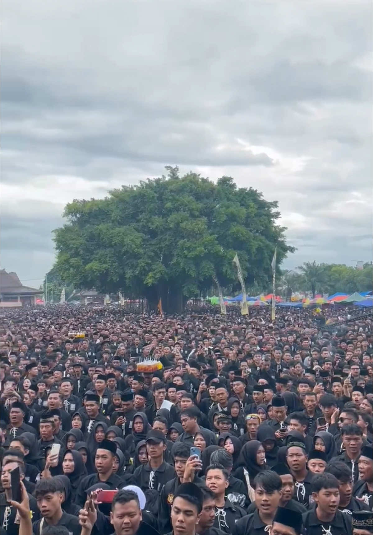 Bumi reog berzikir ponorogo menghitam @Ferry DK #bumireogberdzikir #brb #psht #pshtpusatmadiun #pshtponorogo