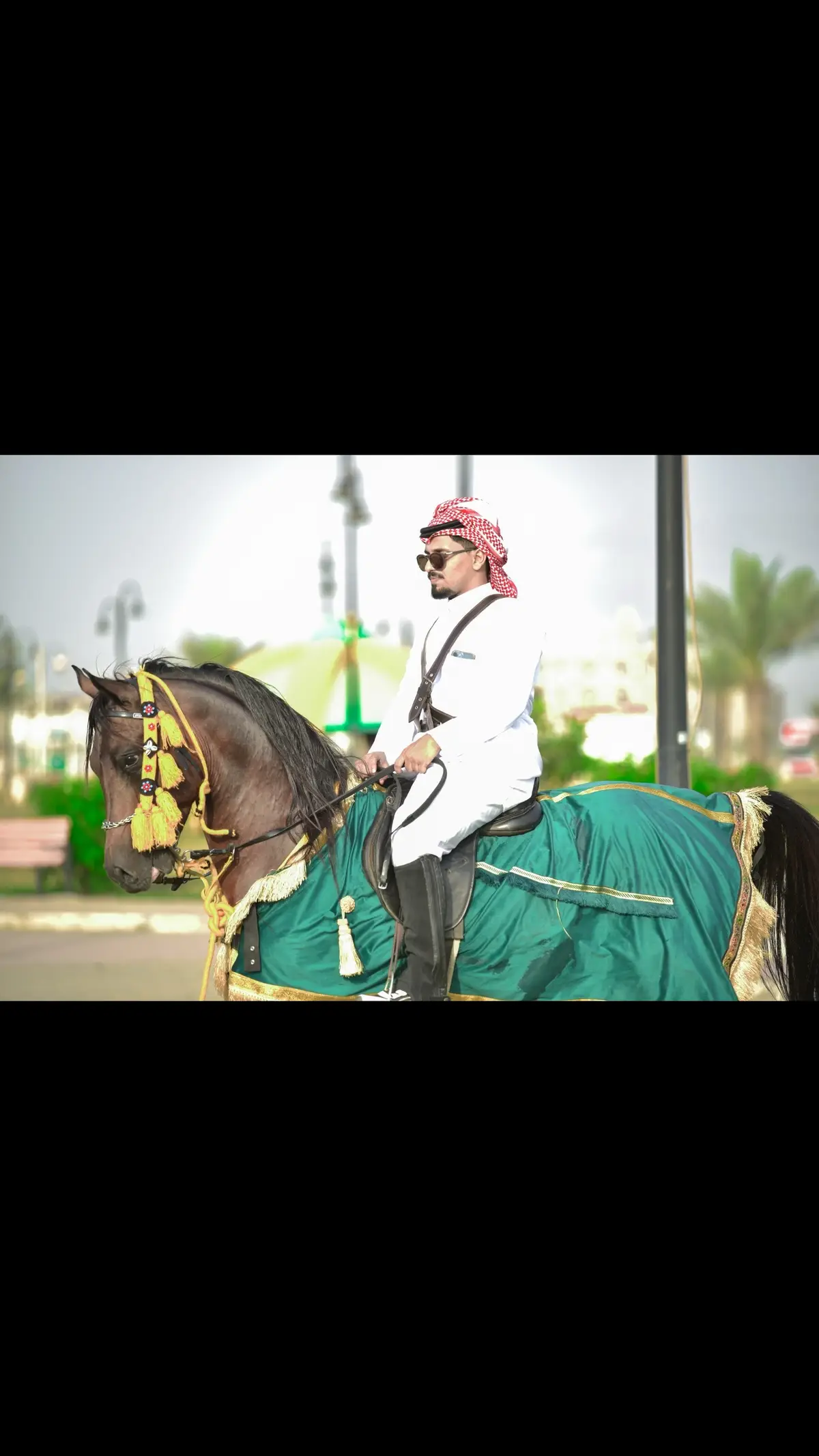 #مربط_فرسان_العارضة #مربط_فرسان_العارضة_خيل_الاصيل🐎 #العارضة #جازان 