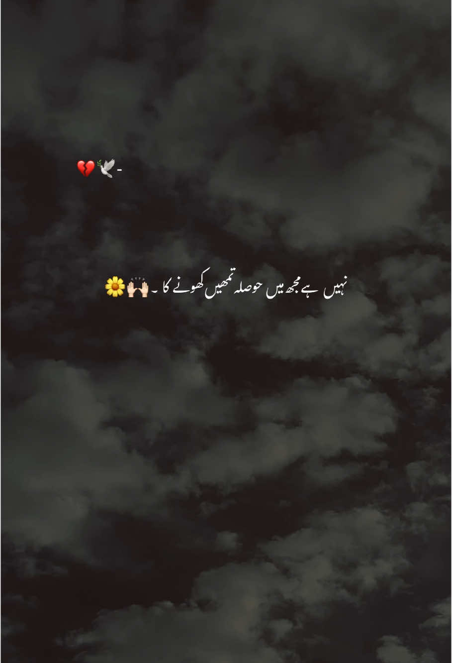 نہیں ہے حوصلہ مُجھ میں تُمہیں کھونے کا ~ 🤕🦋 #foryou #foryoupage #grow #account #urdupoetry #poetry #viralvideo #goviral #aesthetic #mk_vibes4 