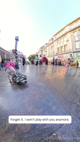 A dog was scolded by his peers while skateboarding on the pedestrian street. Puppies are also jealous! #frenchbulldog #cutepet #skateboarddog #dogplayingskateboard #fyp