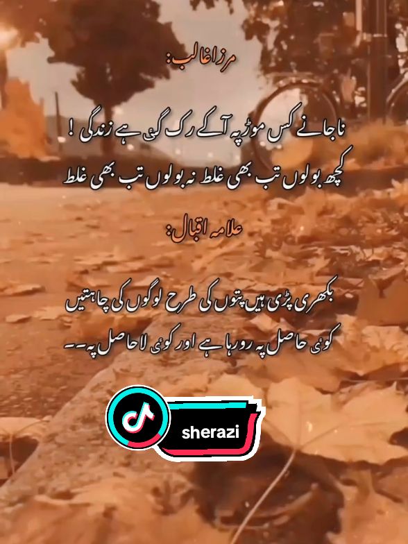 >>>sherazi 🚩