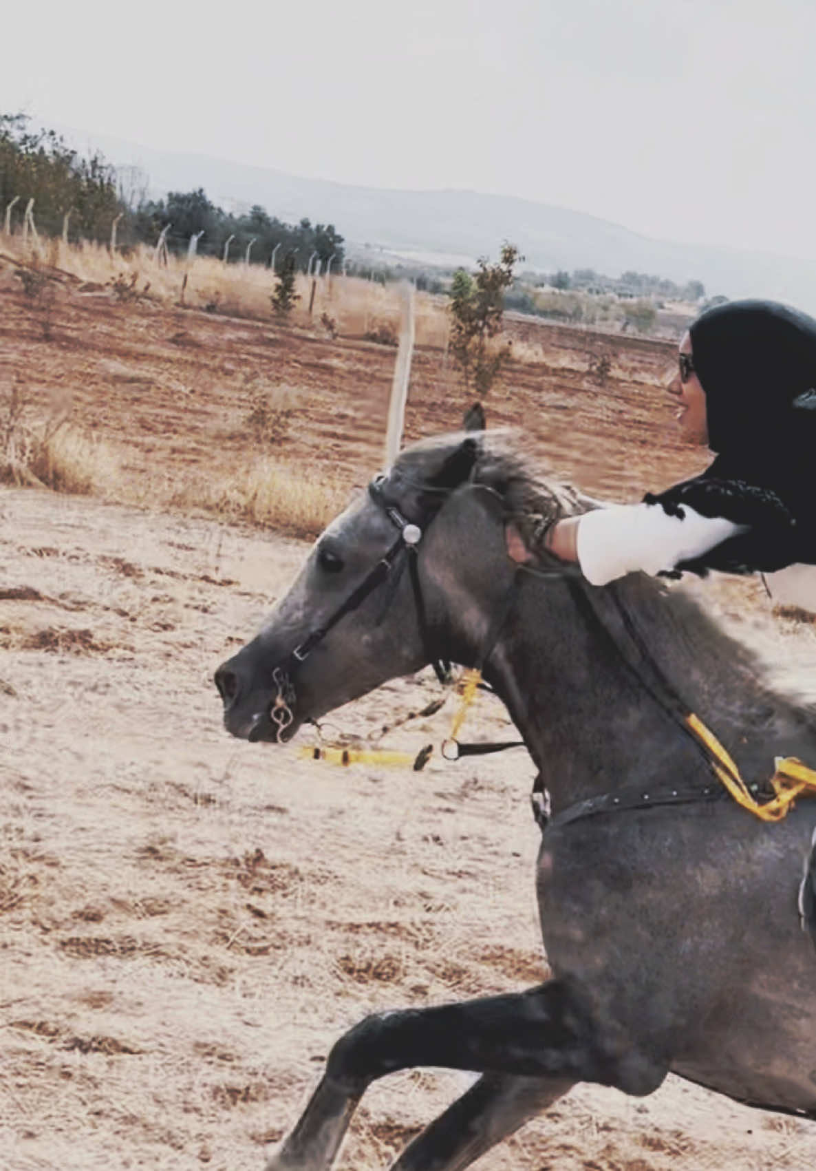 Hazların kölesi olan bir ruh asla özgür olamaz ..!#otantikatçifliği #rumeysademirkirann #gaziantepprovince #horsegirl 