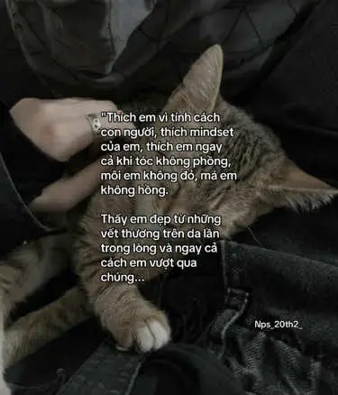 #Tiktok #xuhuong #fyp #story #viral #tamtrang #tinhyeu 