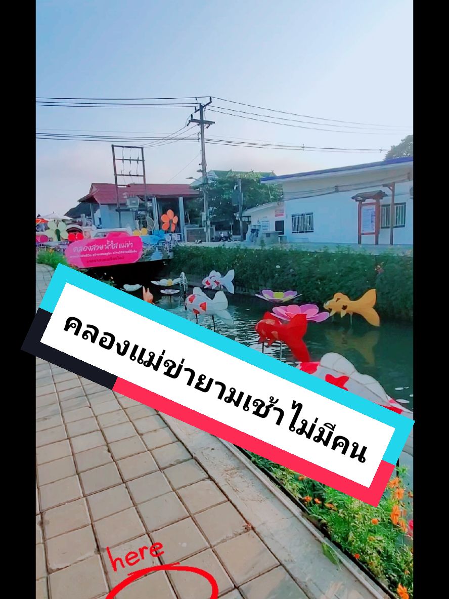 #TikTokCreatorSearchInsightsIncentive #คลองแม่ขา #tiktokพาเที่ยว #เชียงใหม่ #รีวิวของดีบอกต่อ #ญี่ปุ่น #อากาศดี #คริสมาสต์#2024 #17องศา #chiangmai #wireless #microphone #ไมค์ไร้สาย #กางเกงช้าง #กางเกงช้างขาปล่อย @Healthyball @Healthyball @Healthyball 