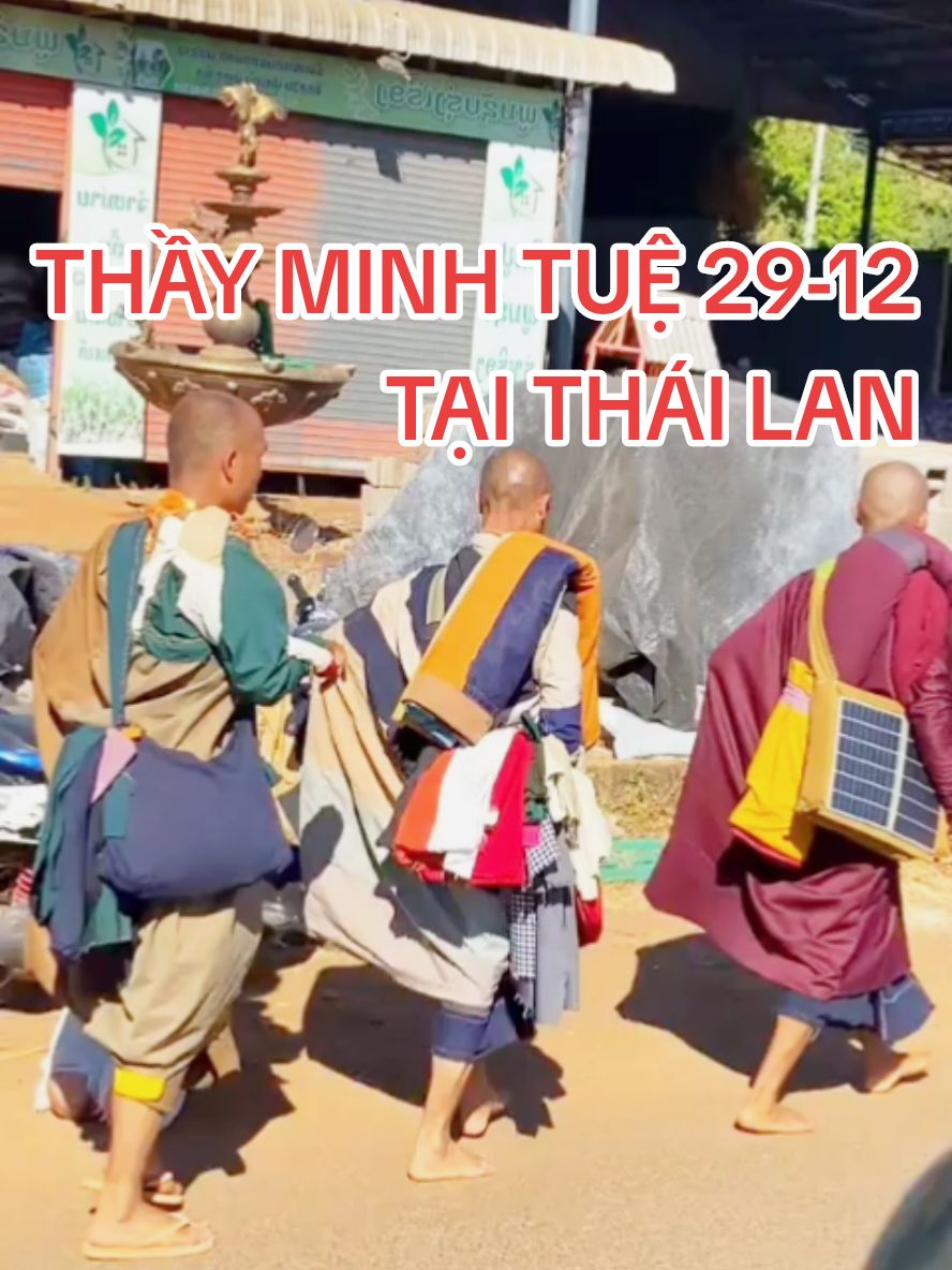 THẦY MINH TUỆ 29-12 Tại Thái Lan A di đà phật #thailand #xuhuongtiktok #thaythichminhtuehientai #thaythichminhtuemoinhat2024 