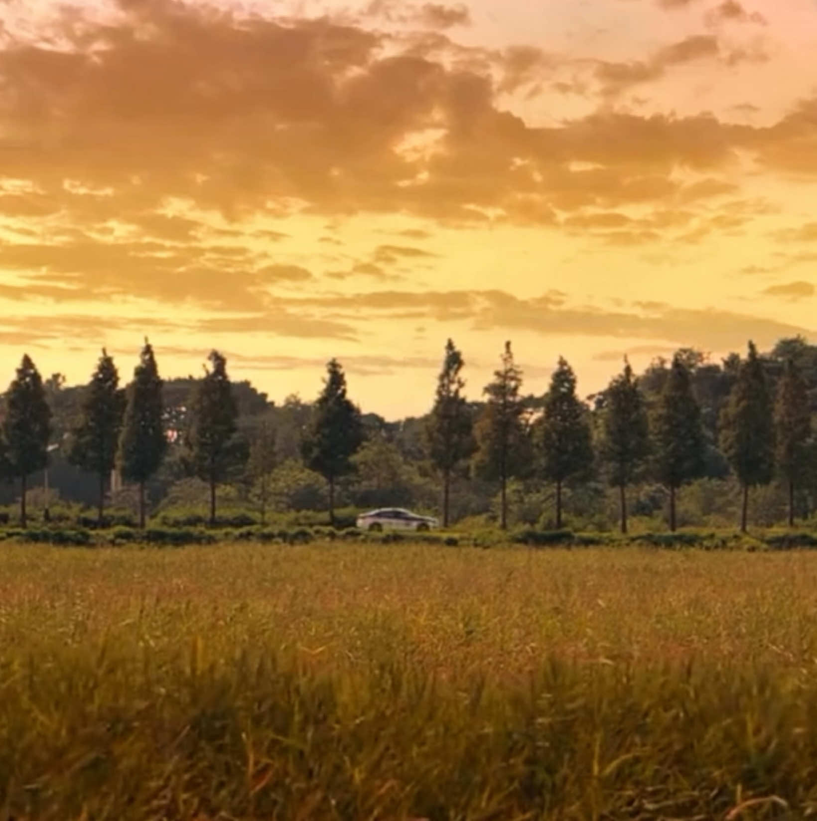 The beauty of ‘When The Phone Rings” #whenthephonerings #yooyeonseok #baeksaeon #chaesoobin #hongheejoo #whenthephoneringsedit #aesthetic #cinematography #wtpr