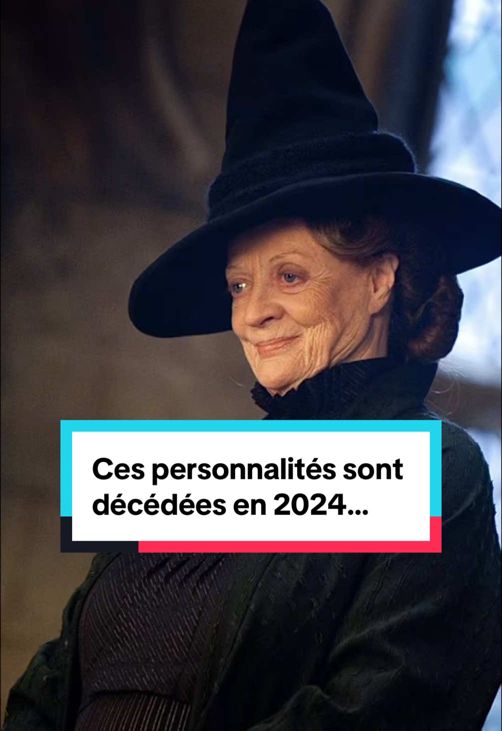 Ces personnalités ou célébrités sont mortes en 2024 #mort #deces #celebrites #triste #2024 