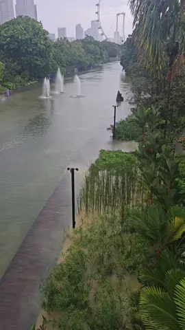 Well, #climatechange do struck #SG . The boardwalk along the dragonfly lake has been submerged. This is relatively new to me. #gardensbythebay #singapore #flashflood 