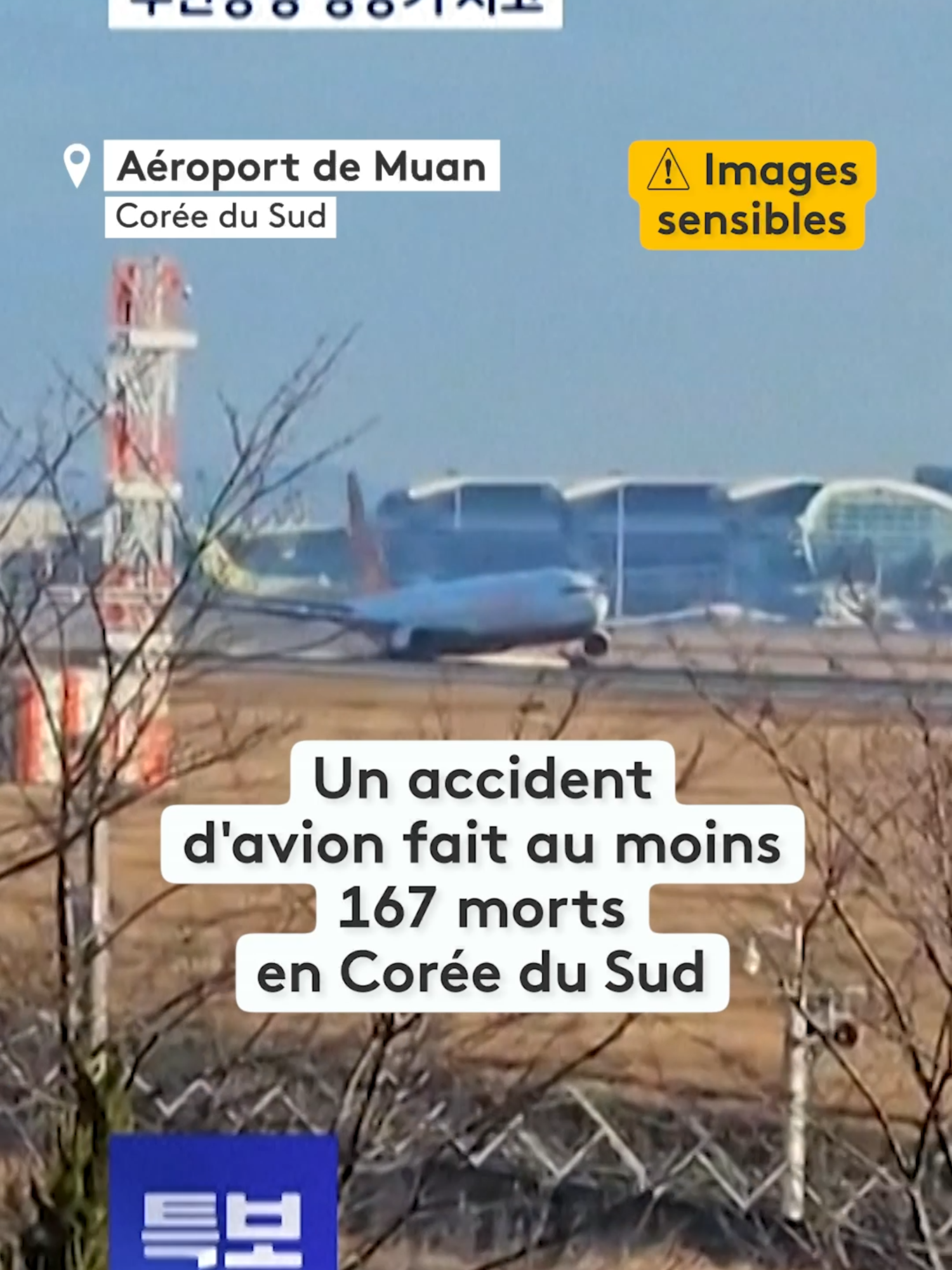 🔴 Un accident d'avion fait au moins 167 morts en Corée du Sud, seuls deux rescapés secourus. L'appareil a effectué un atterrissage violent avant de percuter un mur et de prendre feu. Les deux survivants sont des membres d'équipage. #crash #coreedusud #avion #drame #sinformetsurtiktok