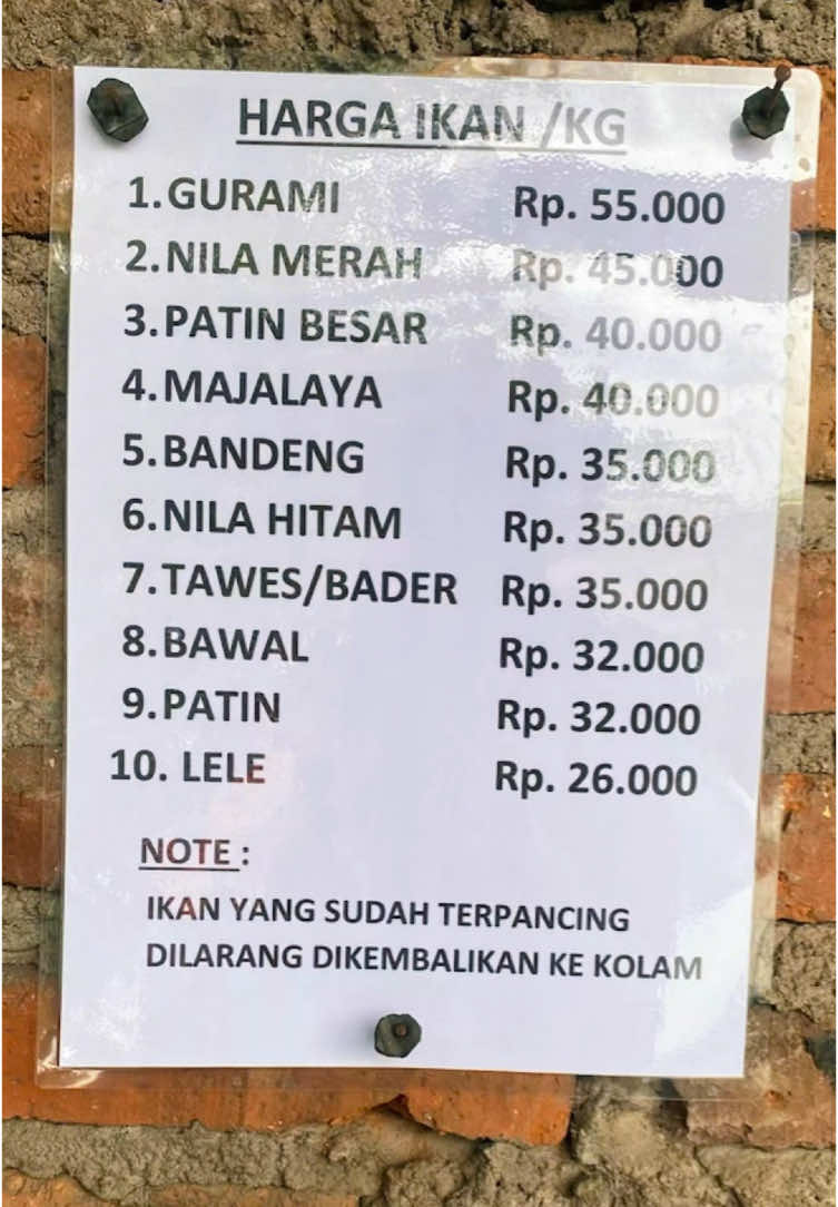 Tahun baru sama keluarga besok jangan salah tempat yaa kawan. Di GJM saja, hujan gakehujanan panas gakepanasan 😁 #liburankeluarga #hobbymancing #kolampancing #kolampancingsidoarjo #kolampancingsurabaya #kolampancinggjm 