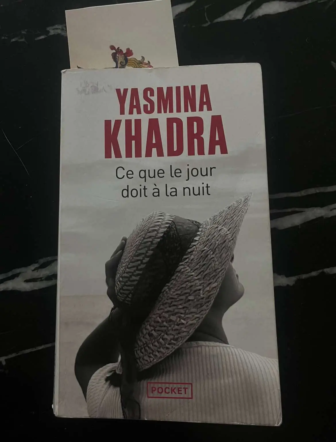 Purée quel gâchissss Younes #citationlivre #cequelejourdoitalanuit #yasminakhadra #BookTok #nousleslecteurs #recommandationlivre #creatorsearchinsights 